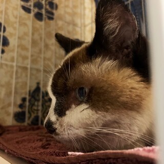 私にも家族が出来てもう寂しくないです‼️