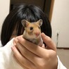 元気いっぱいのぽっこちゃん
