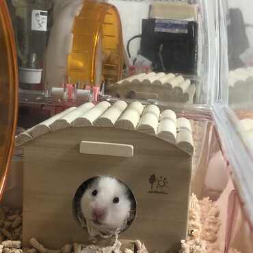 新居なの❤️