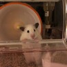 今、呼んだ？なぁに？