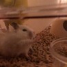 右手を前に伸ばすよ〜