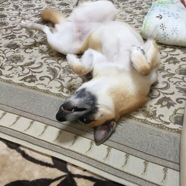 朝から構ってちゃん