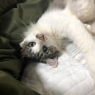 SOS！おっとり落ち着きのある可愛いレナちゃん♡