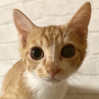 美人さんなみーなちゃん❤️