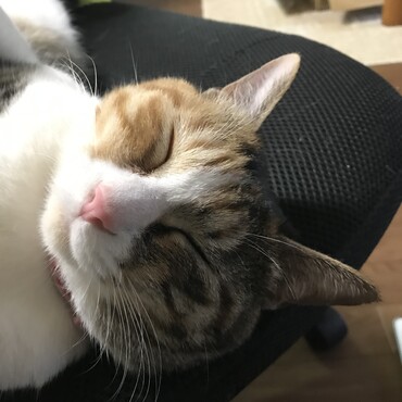 至福の時^_^