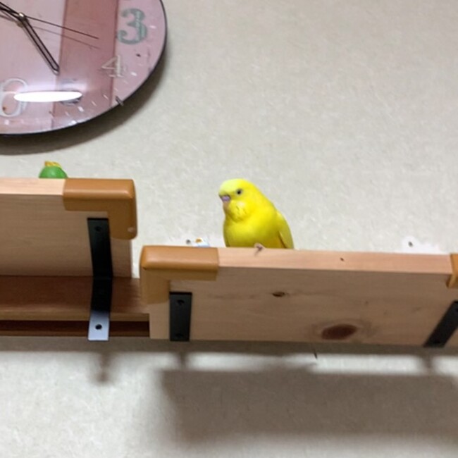 サトサンのカバー写真