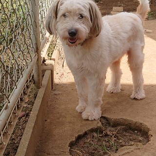 慣れたらかなりアクティブ