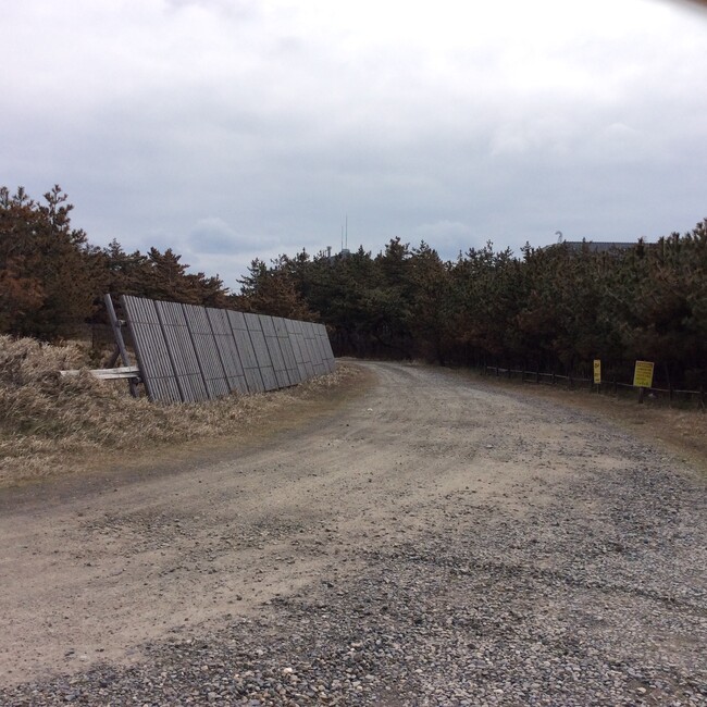 スーパーたぬきのカバー写真