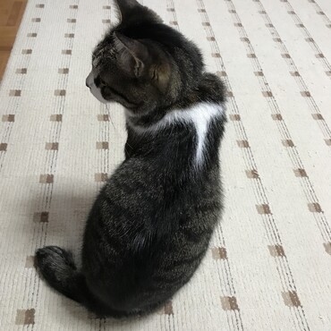 の写真