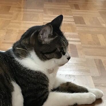 の写真
