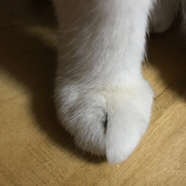 の写真