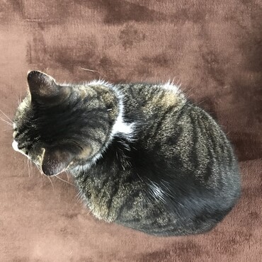 の写真