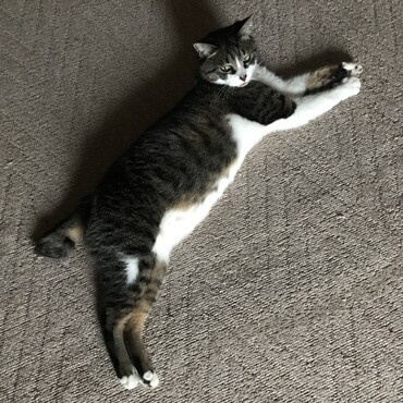 の写真