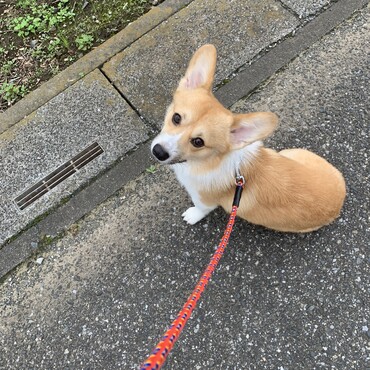 もう１歳半になるのに小さい？顔も幼い？