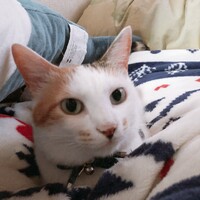 ゆん