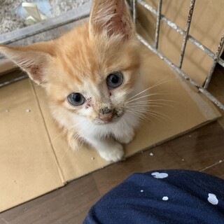 幸せいっぱいの中で過ごさせてください