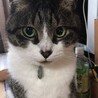 nassinさん