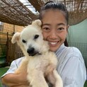 基本穏やか時々頑固 おじいちゃん犬