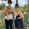 基本穏やか時々頑固 おじいちゃん犬 サムネイル3