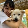 基本穏やか時々頑固 おじいちゃん犬 サムネイル4