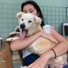 基本穏やか時々頑固 おじいちゃん犬 サムネイル5