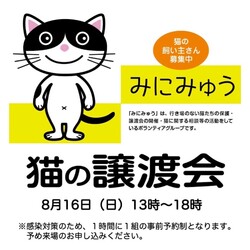 みにみゅう 譲渡会