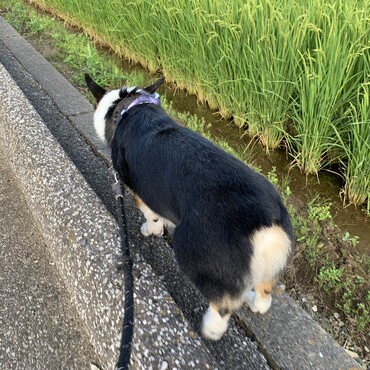 狭くてもココ。落ちないように気をつけて。