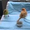 の写真