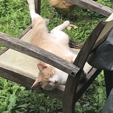 の写真