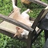 の写真