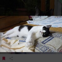 ぬく