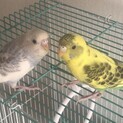 生後3ヶ月の女の子&男の子カップル