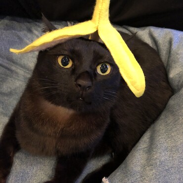 バナナ