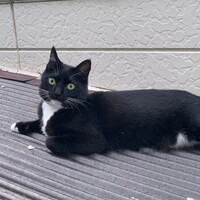 まさと