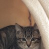 ハピヨ