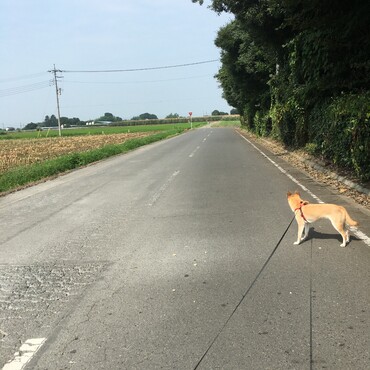今日は暑かったね