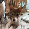 明るくてお茶目な男の子です