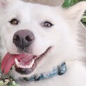 ☆家族がきまりました‼️☆