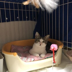 優しい里親様募集中です。