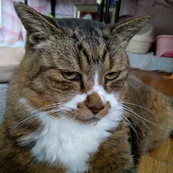 ヨダレじゃないよ