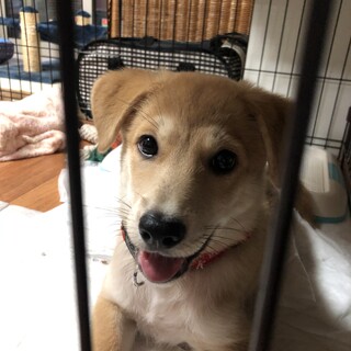 元気いっぱいあやみちゃん