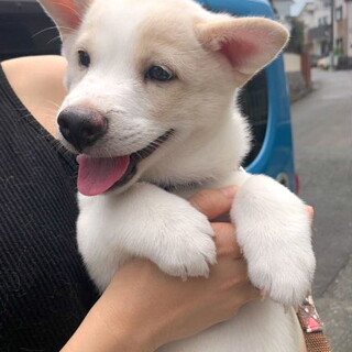 グングン成長中！元気で甘えん坊の男の子ふうた