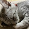 あやぱんっ