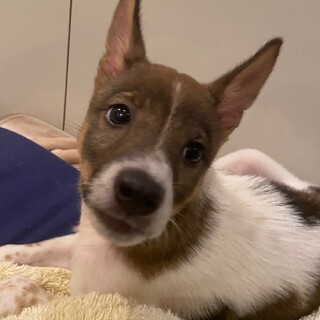 体も態度もちょっと控えめな男の子