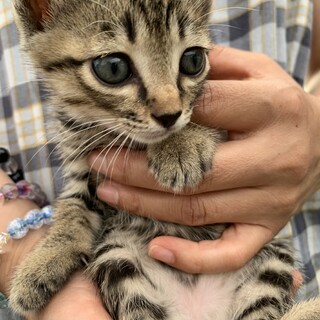 里親さま決まりました☆