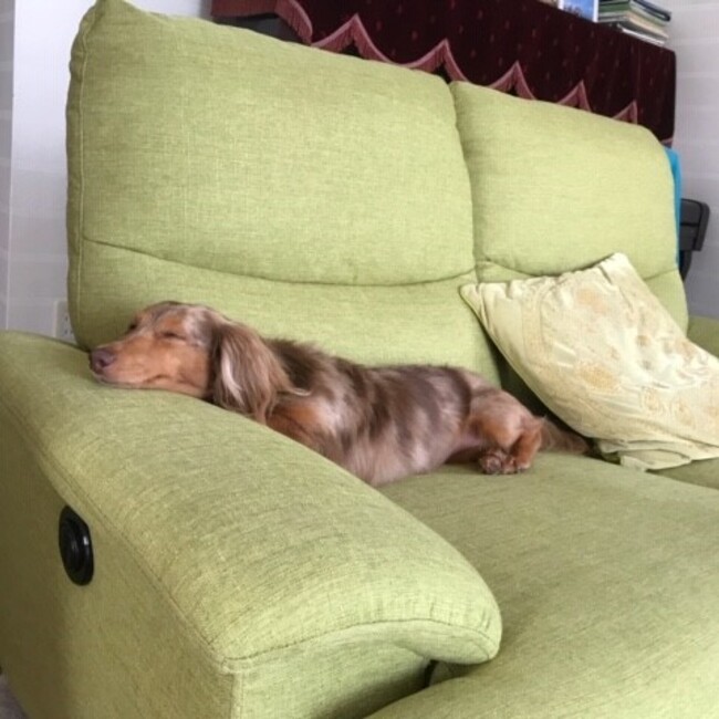 Makotoooooのカバー写真