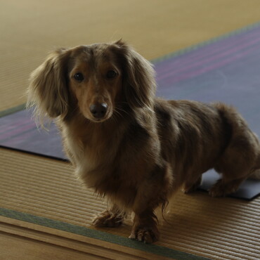 ちょっとオスマシしてみたよー！！