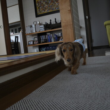 我が家を散策中！！