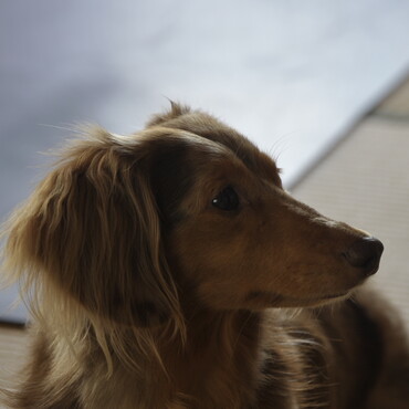 この横顔どうかなぁ？？？