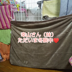 「トイレは避暑地？」サムネイル2